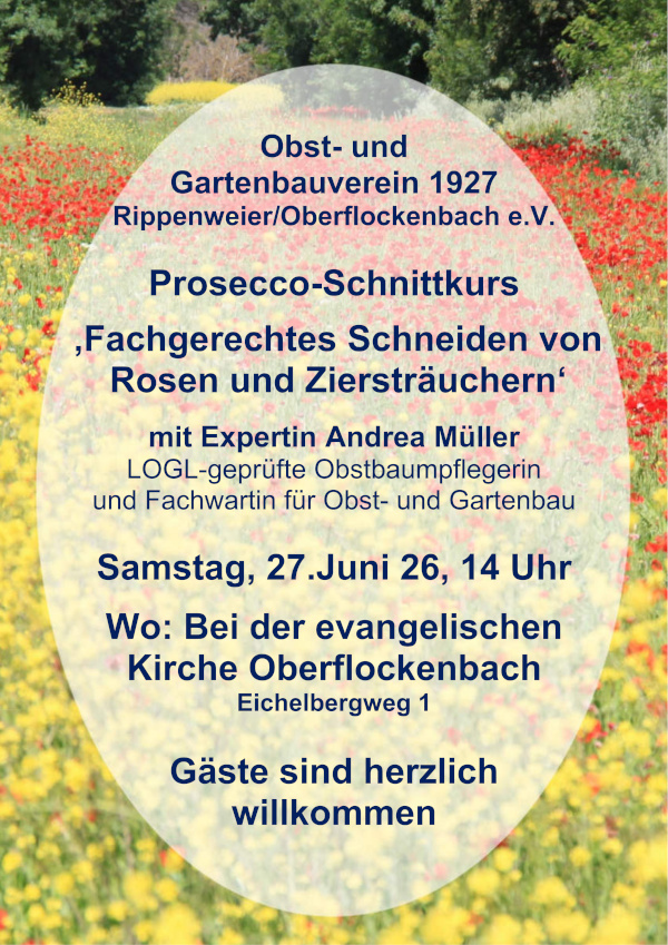 Einladung-Prosecco-Schnittkurs_600